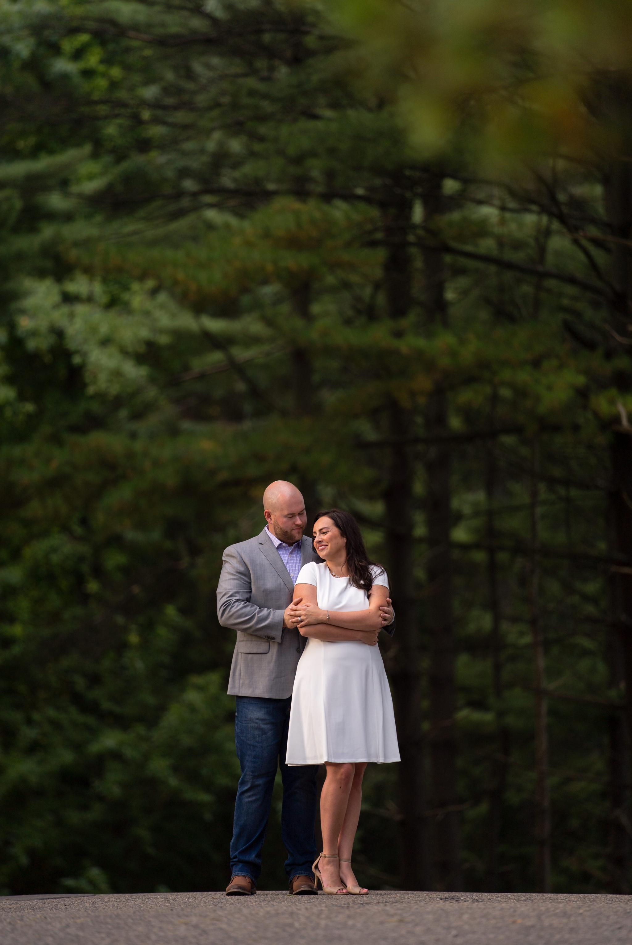 Shepard's Hollow engagement 