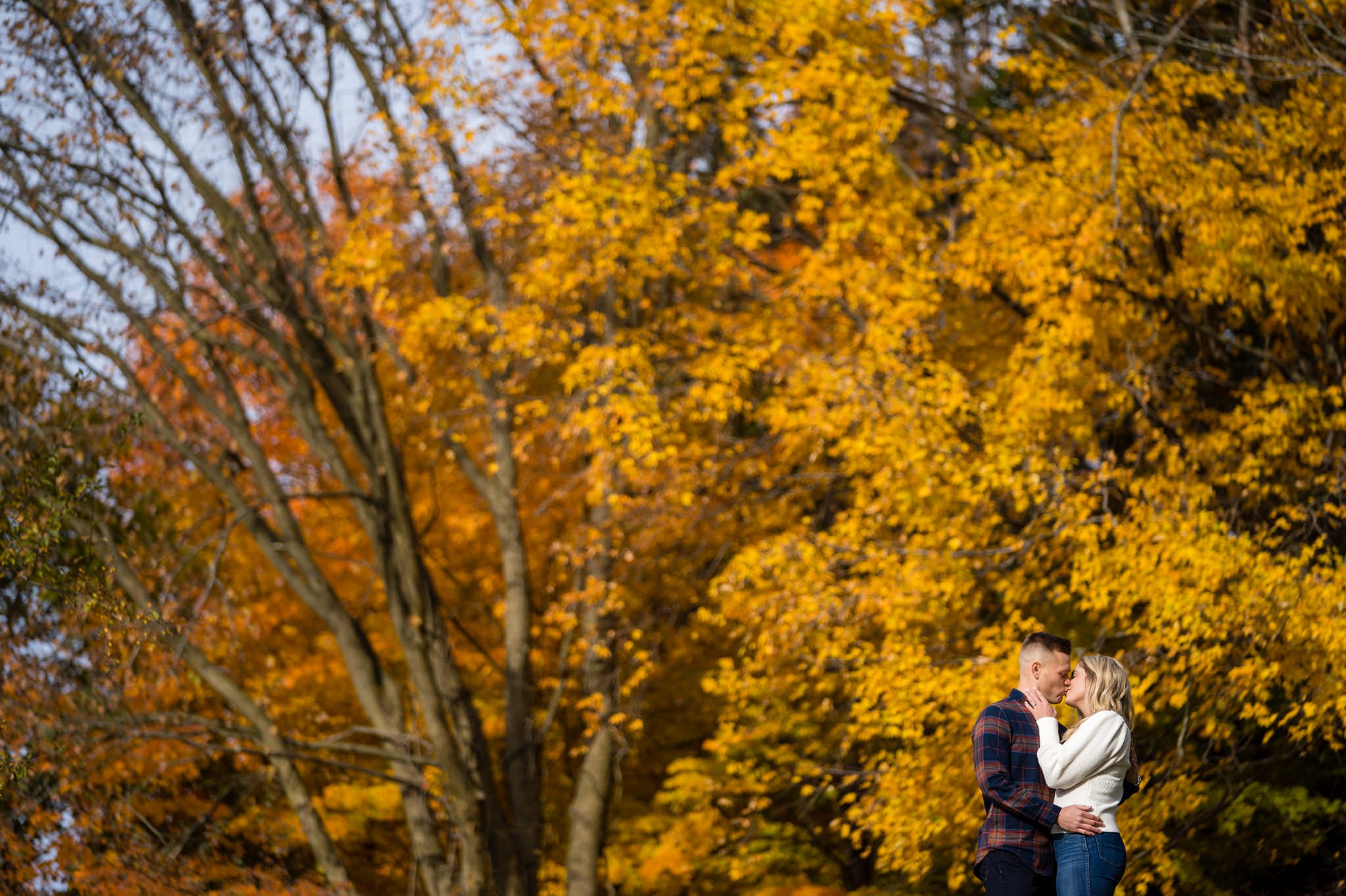 Stony Creek fall engagement photos