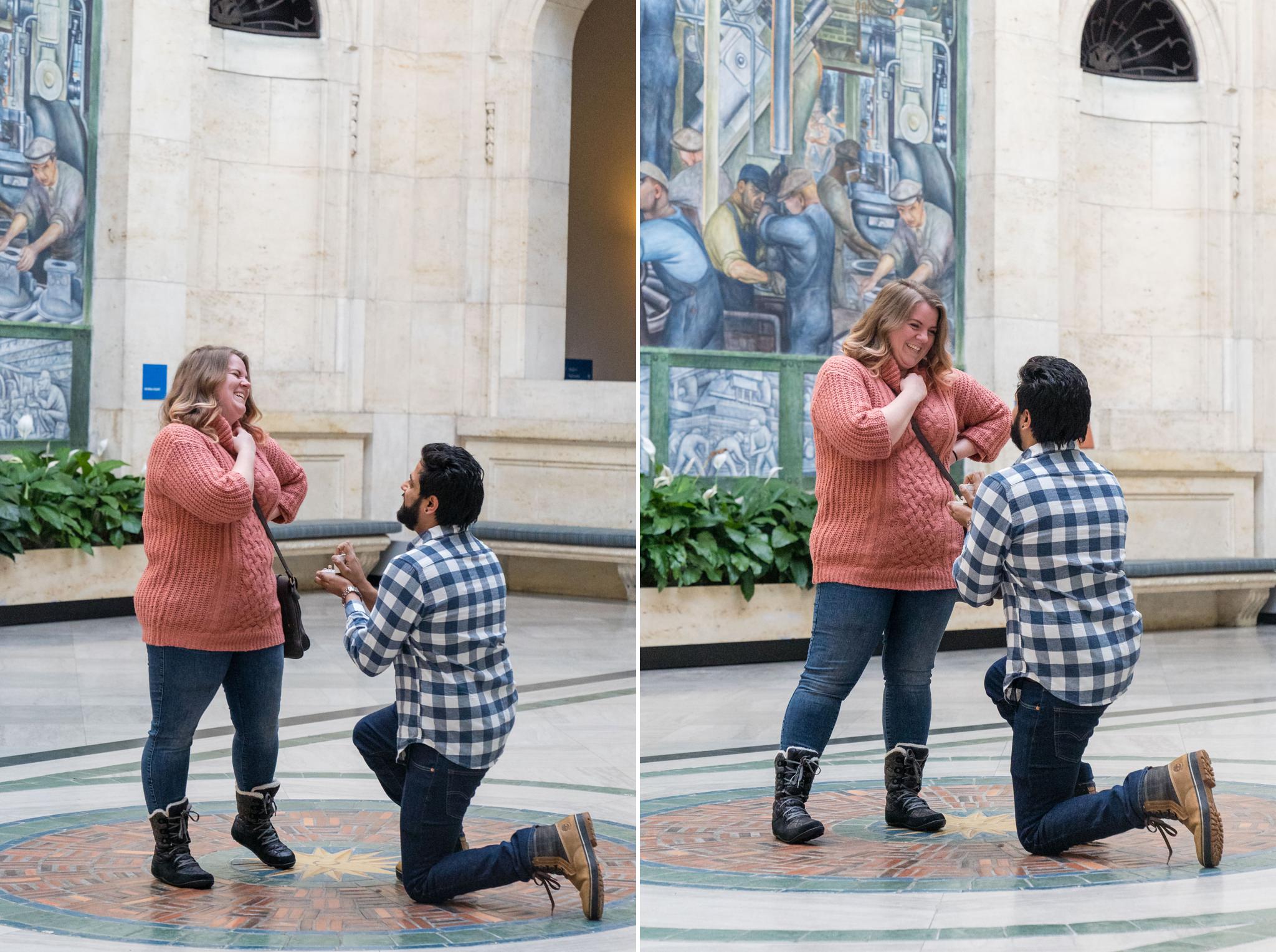 Proposal in the Detroit Institute of Arts