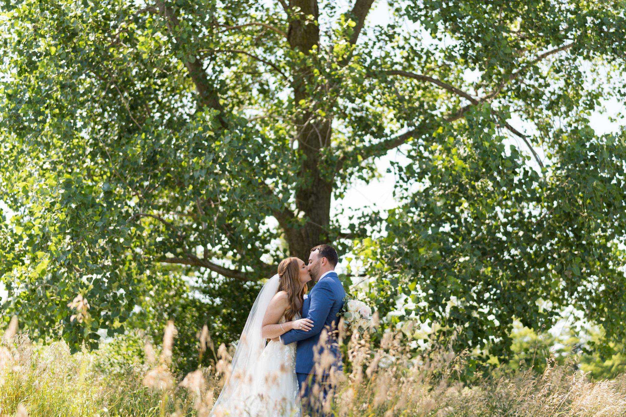Standing in tall grass, a bride and groom kiss with a tree in the background at Greystone Golf Club.  