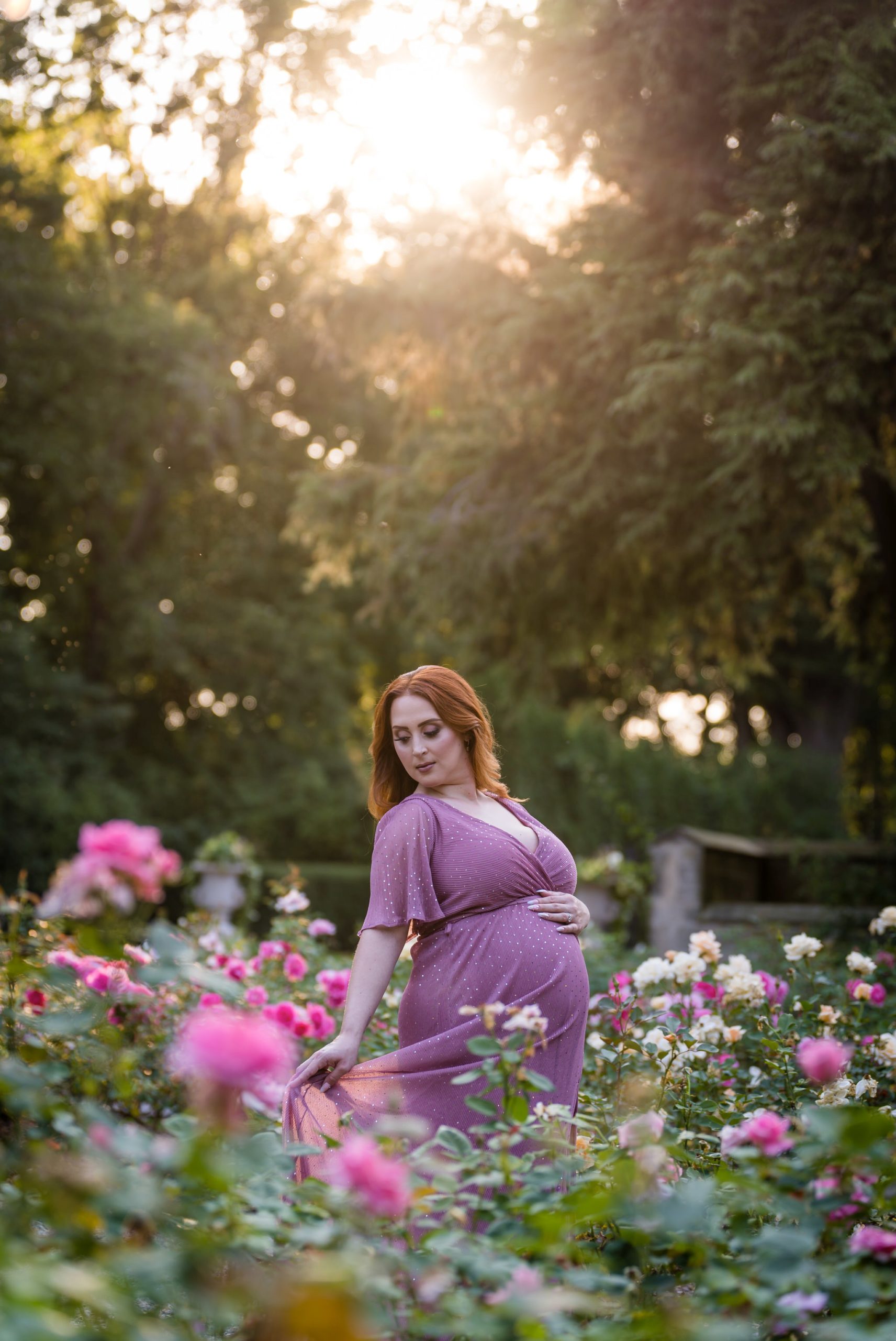 A pregnant mom holds her bump in the rose garden during a maternity session at Edsel Ford House.