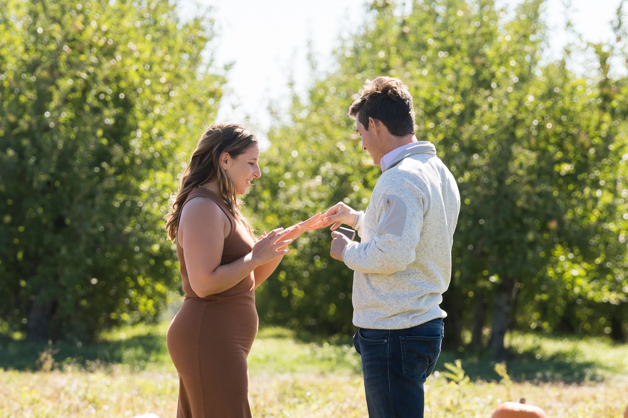 A fiance puts on her engagement ring for the first time at a pumpkin patch proposal at Blake's Apple Orchard.