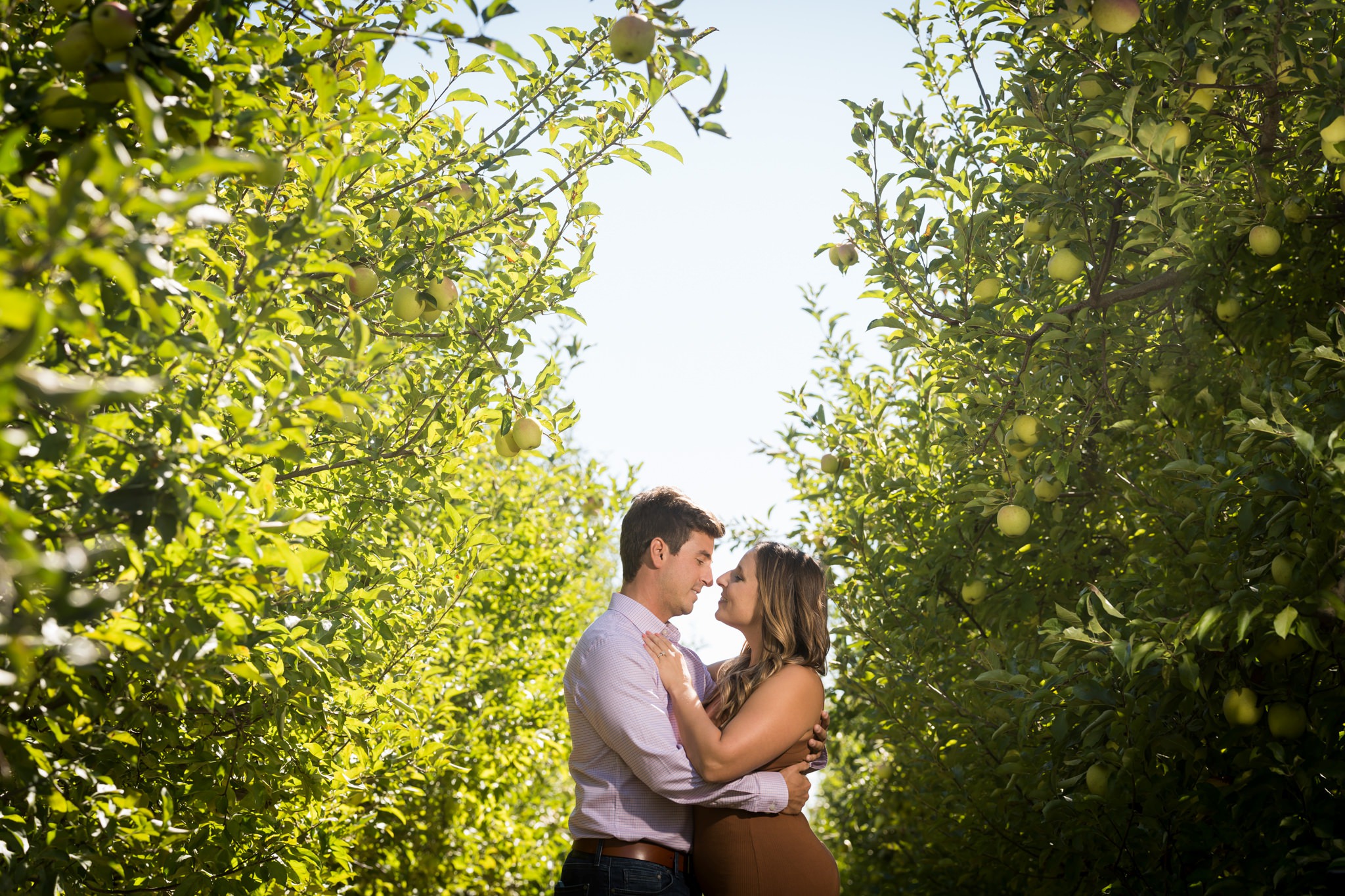 A couple embraces standing among apple trees at their Blake's Apple Orchard engagement session. 