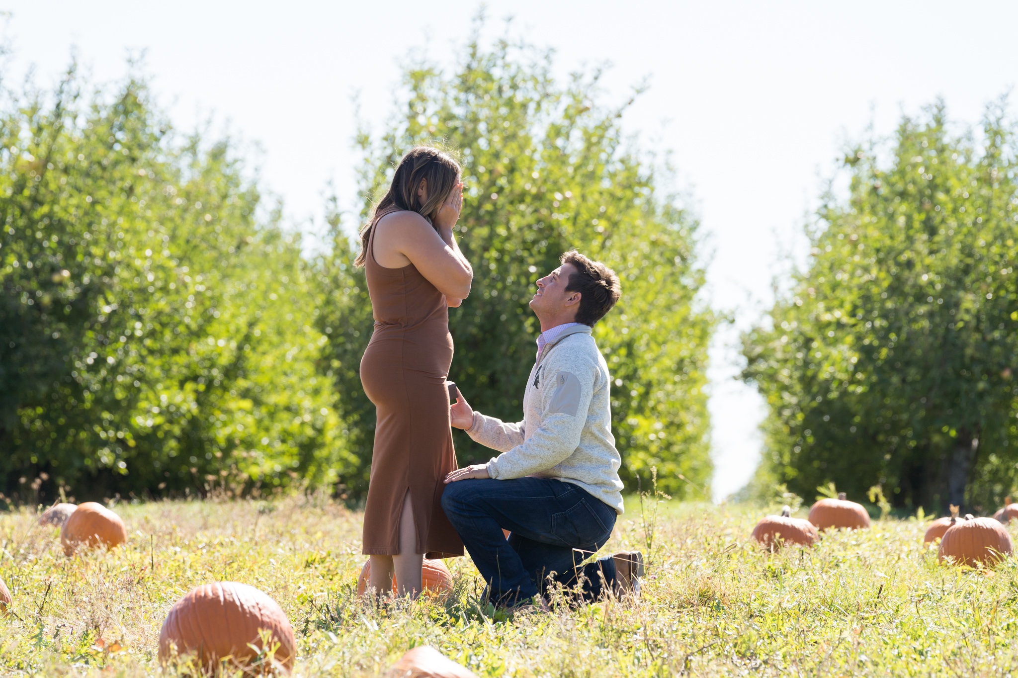 A woman covers her face while her boyfriend takes a knee before their pumpkin patch proposal at Blake's Apple Orchard. 