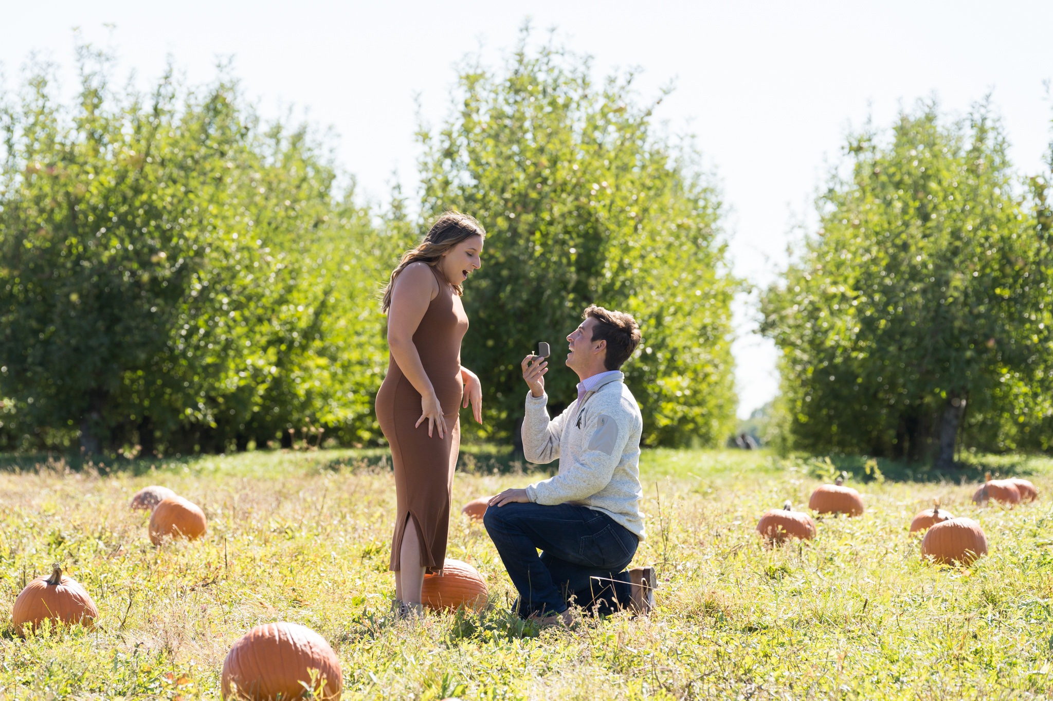 A fiance gasps with joy seeing her engagement ring at a pumpkin patch proposal at Blake's Apple Orchard.  