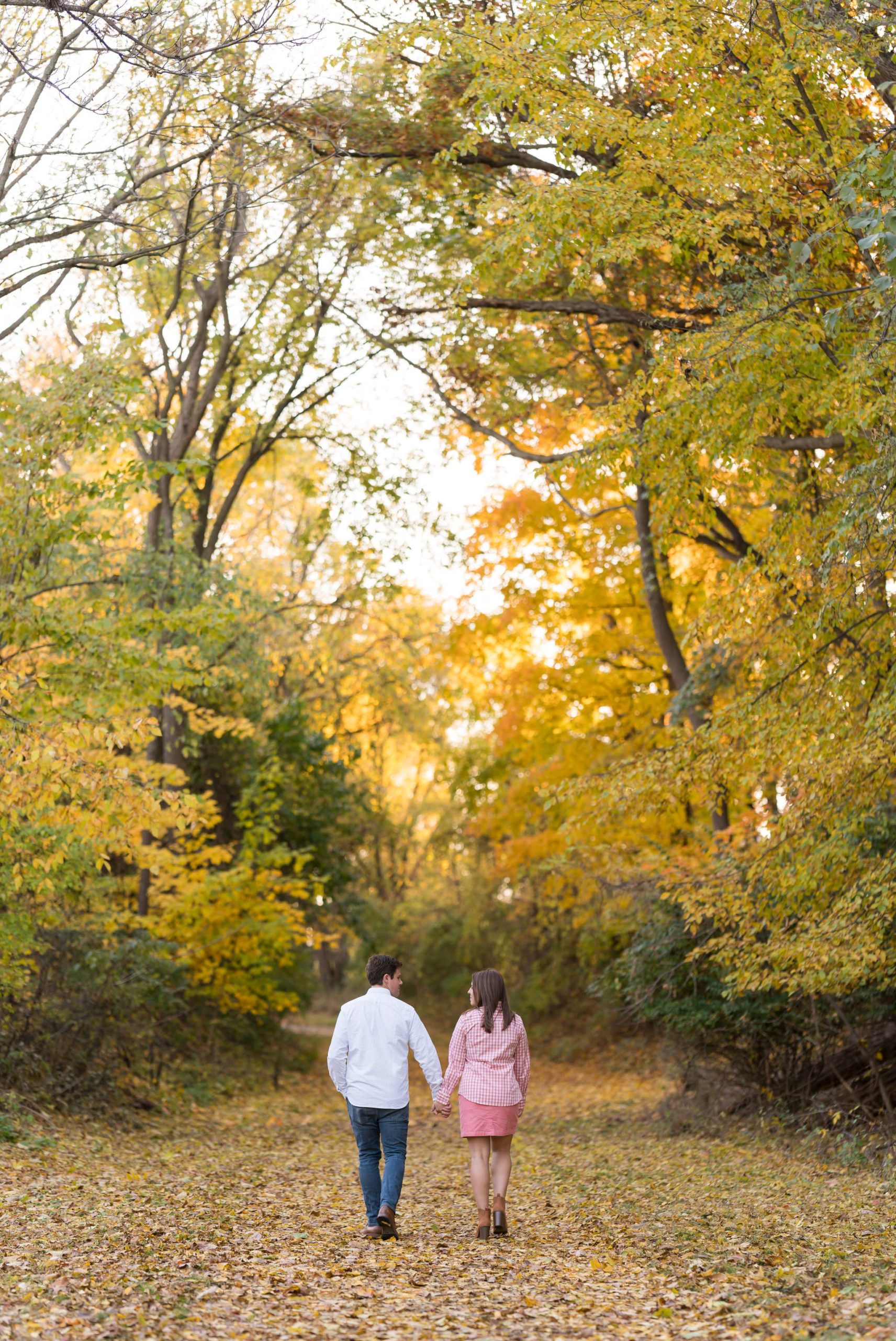 Couple walks away from the camera in a tunnel of yellow trees at their fall engagement at Van Hoosen. 
