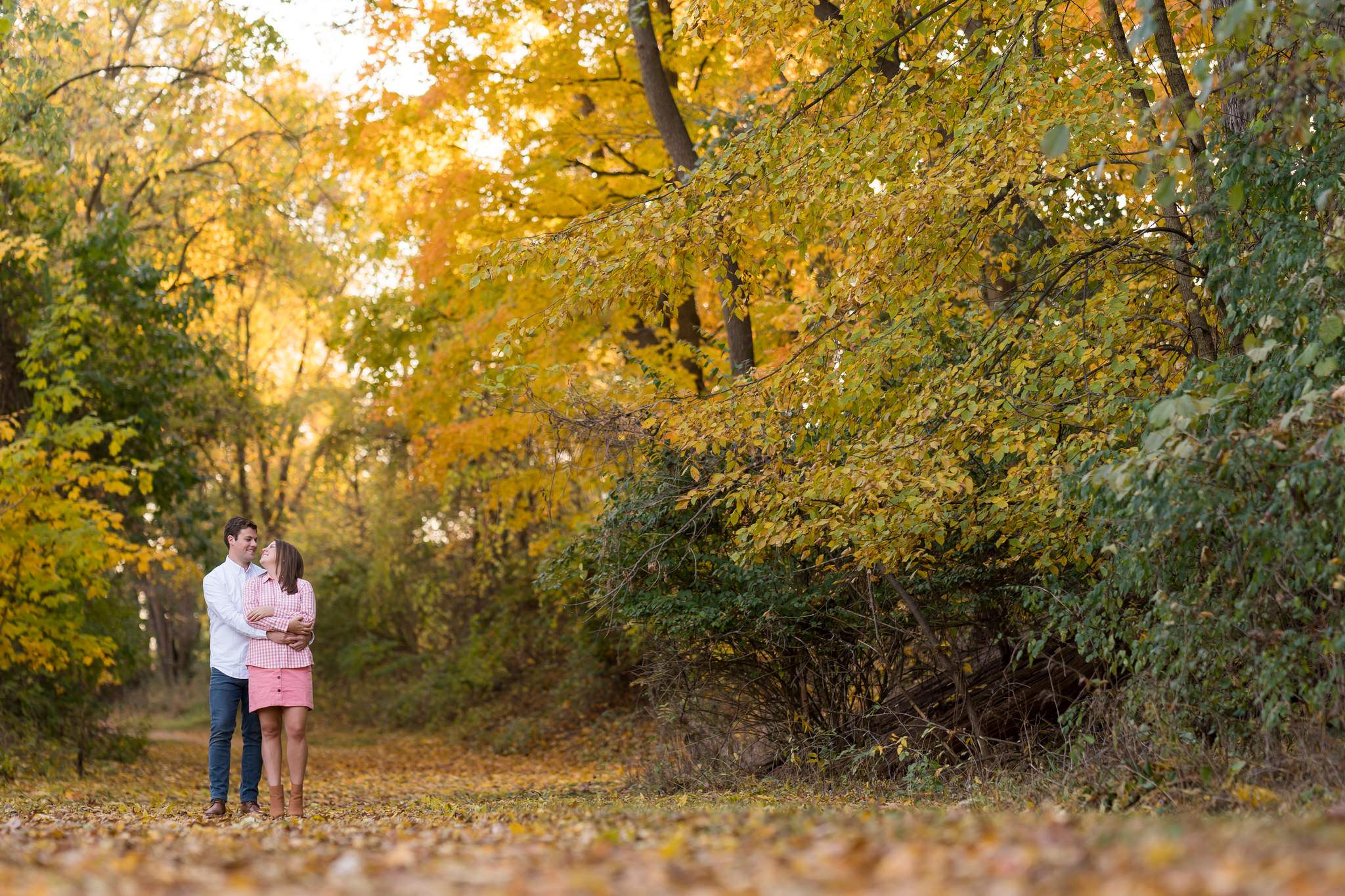 Couple hug in a tunnel of yellow trees at their fall engagement at Van Hoosen.