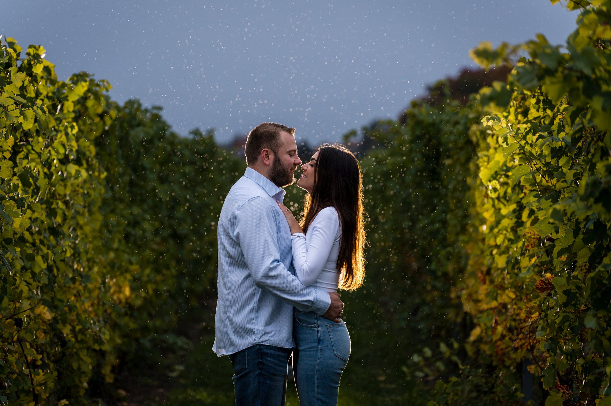 A couple hugs with rain drops surrounding them inside of a wine vineyard.