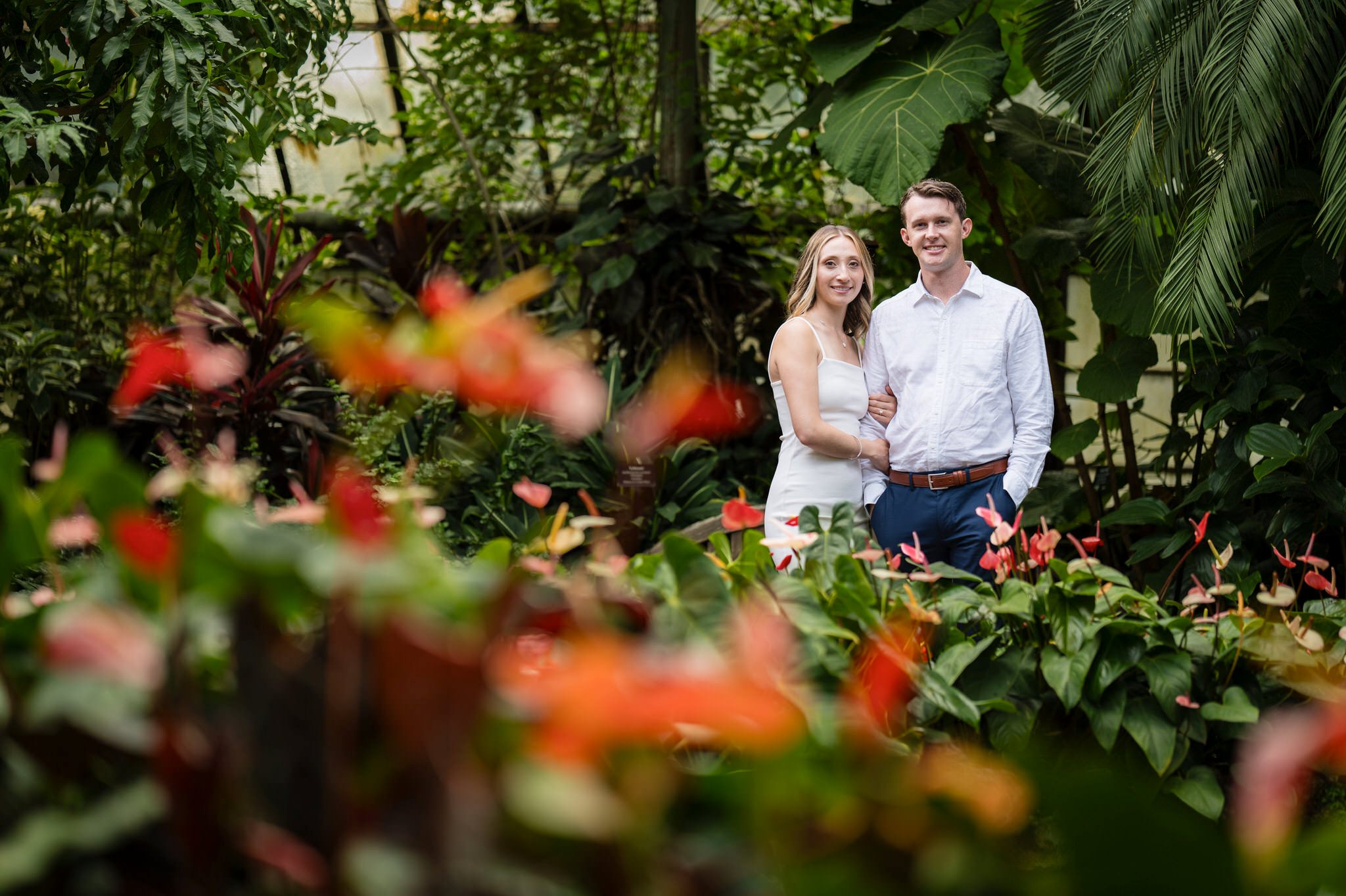 A Chicago engagement session in the Lincoln Park Conservatory.  