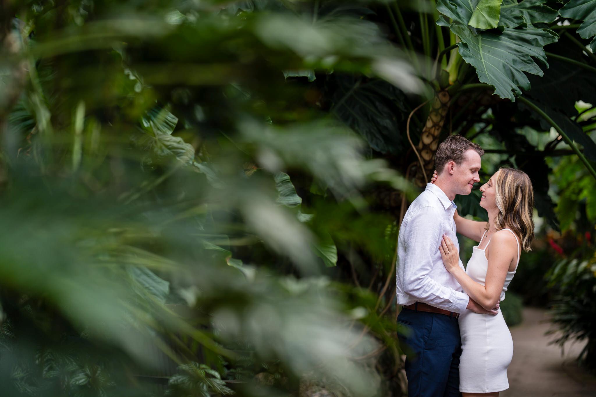 Surrounded by plants, a couple poses in the Lincoln Park Conservatory in Chicago during their engagement session.  