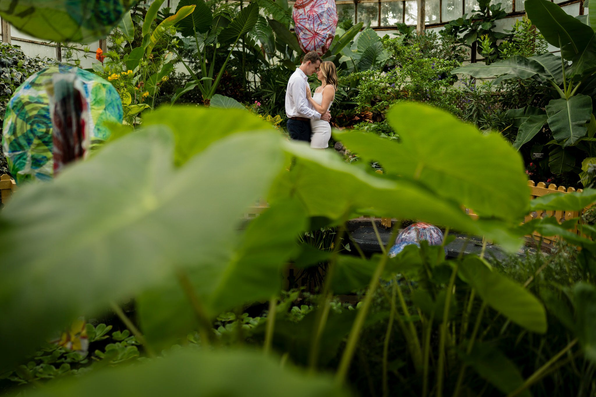 With a big leaf in the foreground, a couples poses during their engagement session at the Lincoln Park Conservatory in Chicago.  