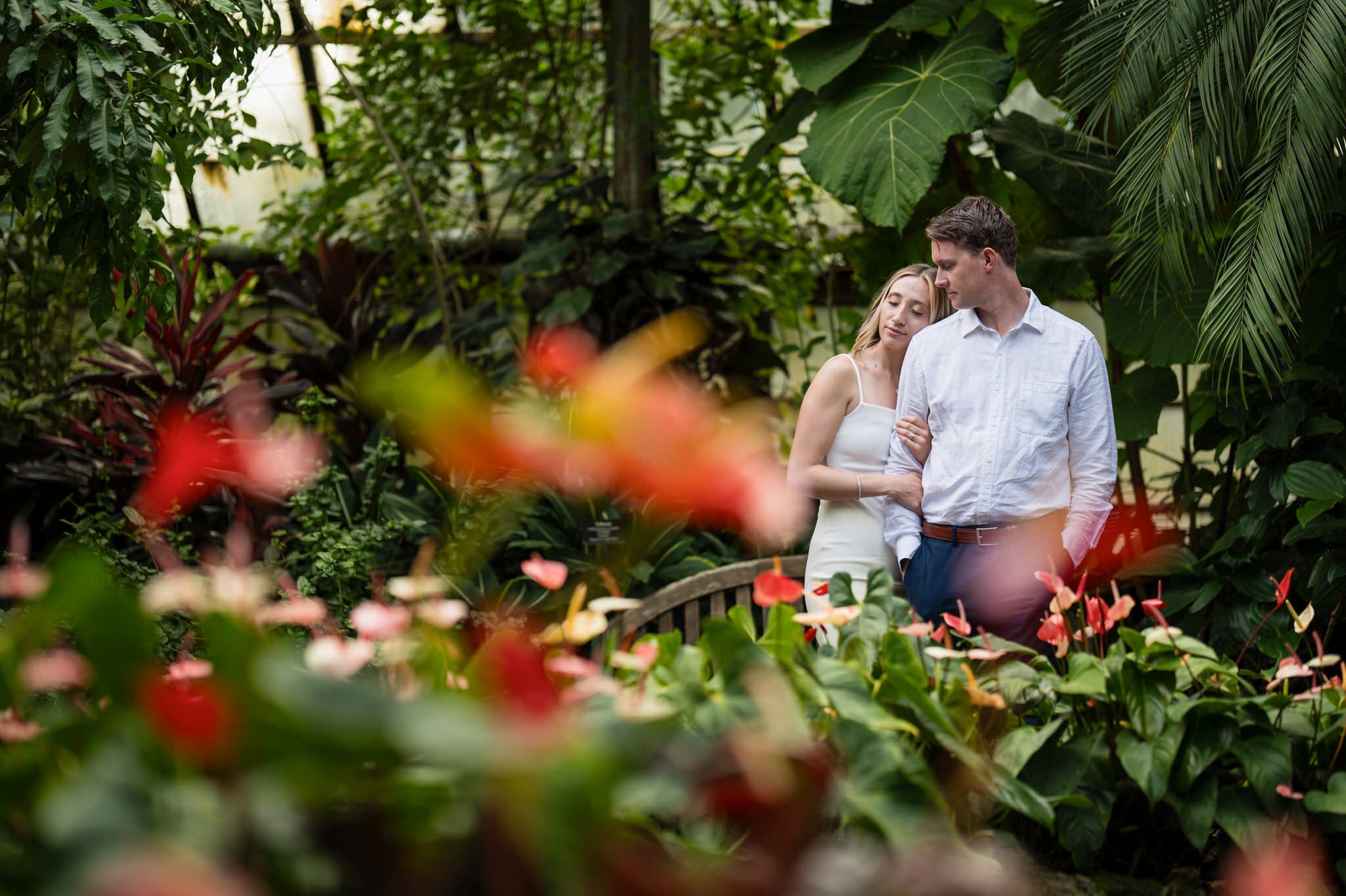 A Chicago engagement session in the Lincoln Park Conservatory.  