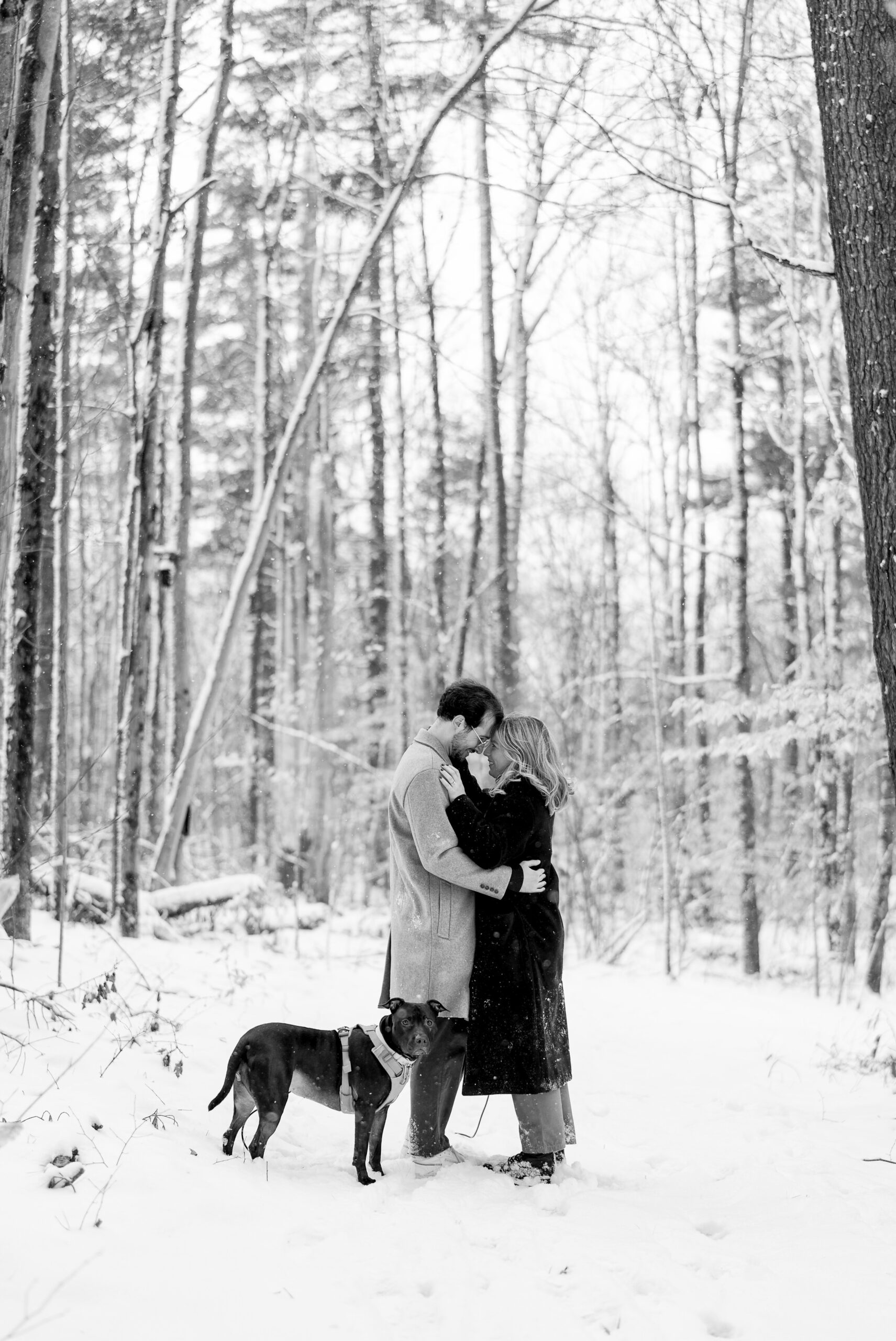 A couple stops and embraces along a snow covered path after their Getaway proposal.