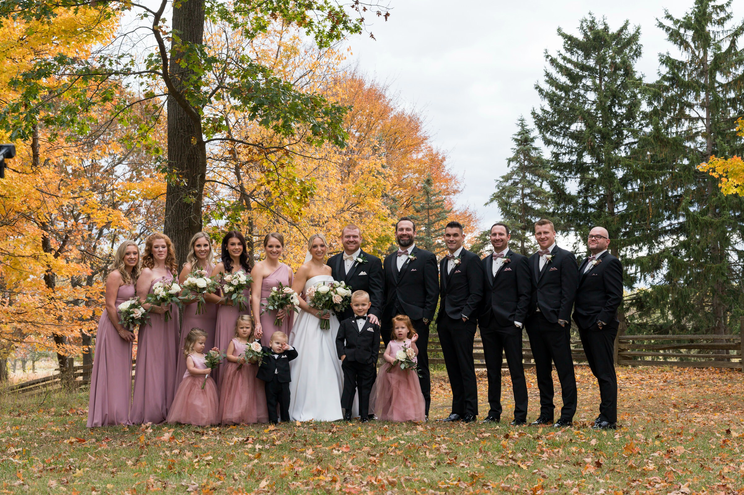 Bridal party on grounds of Addison Oaks 