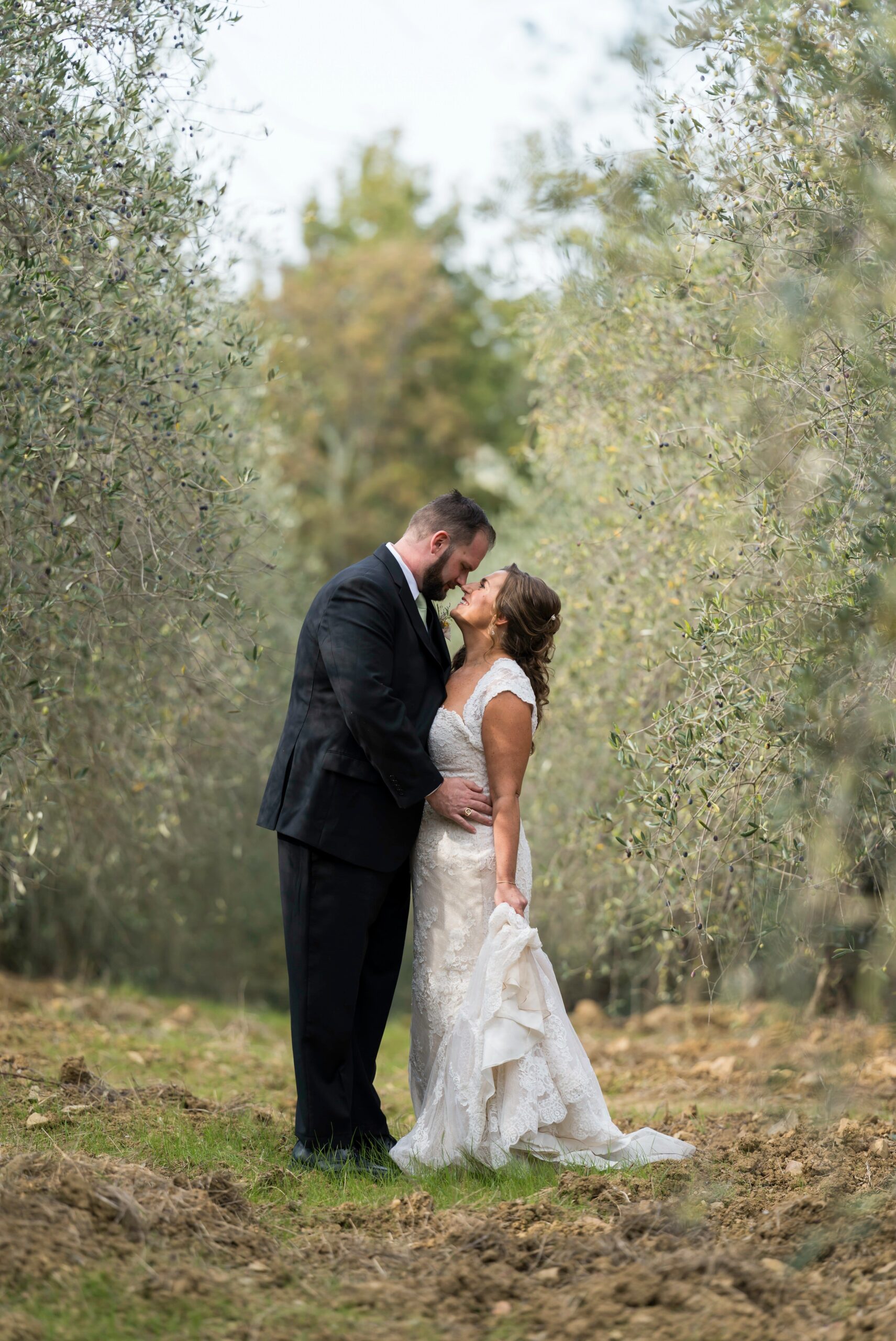 Kate and AJ in the olive tree prior to Quercia al Poggio wedding