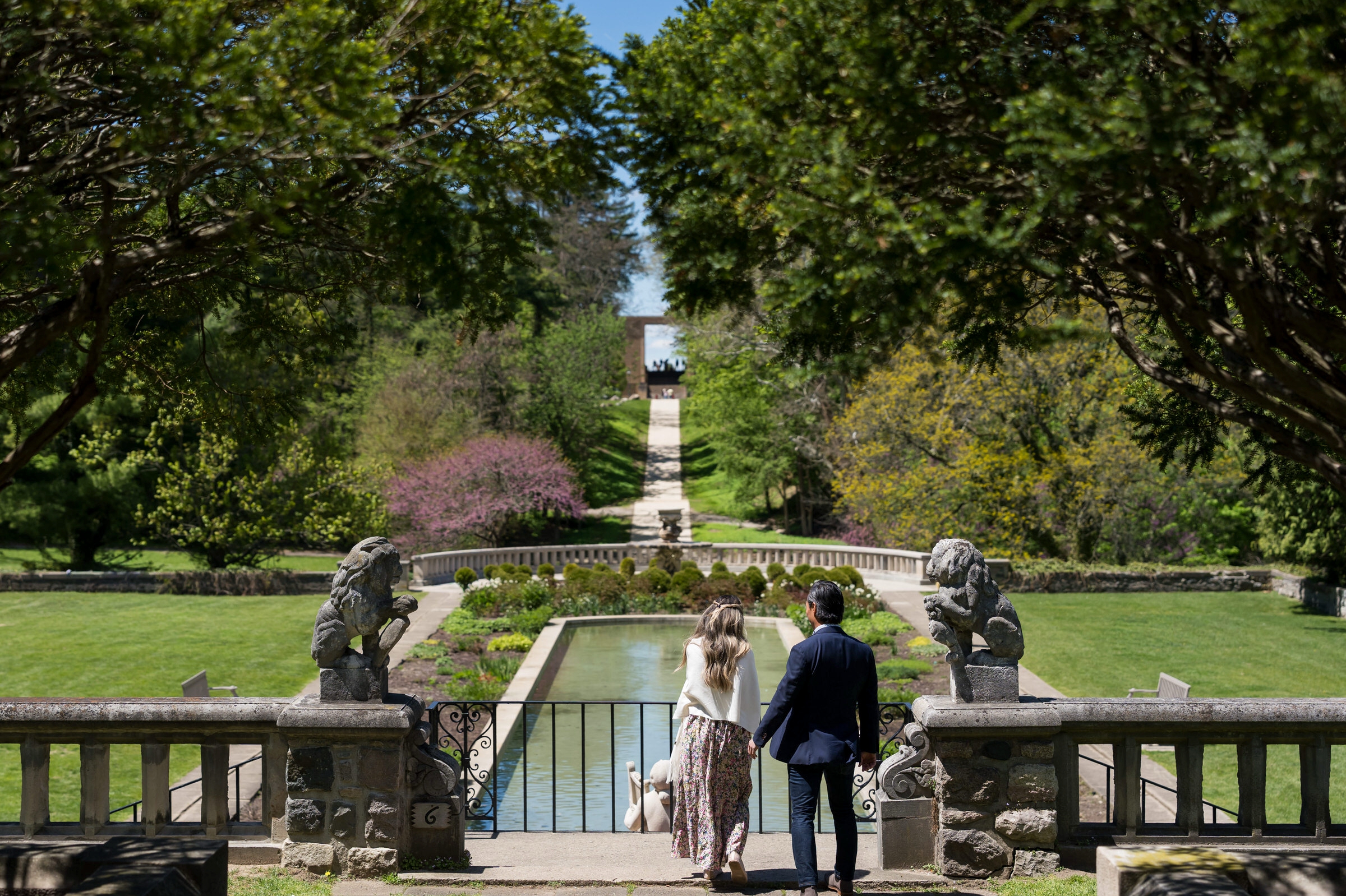 Proposal at Cranbrook Gardens