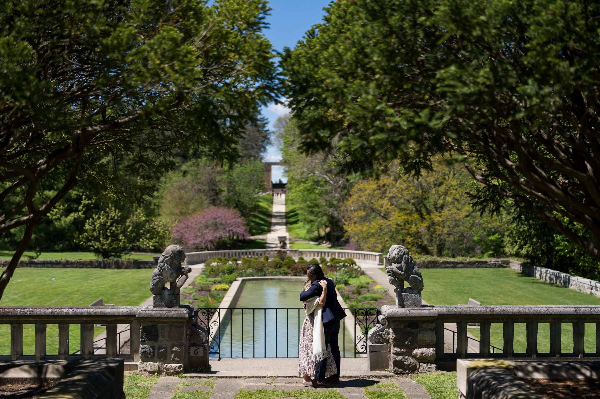 Proposal at Cranbrook Gardens