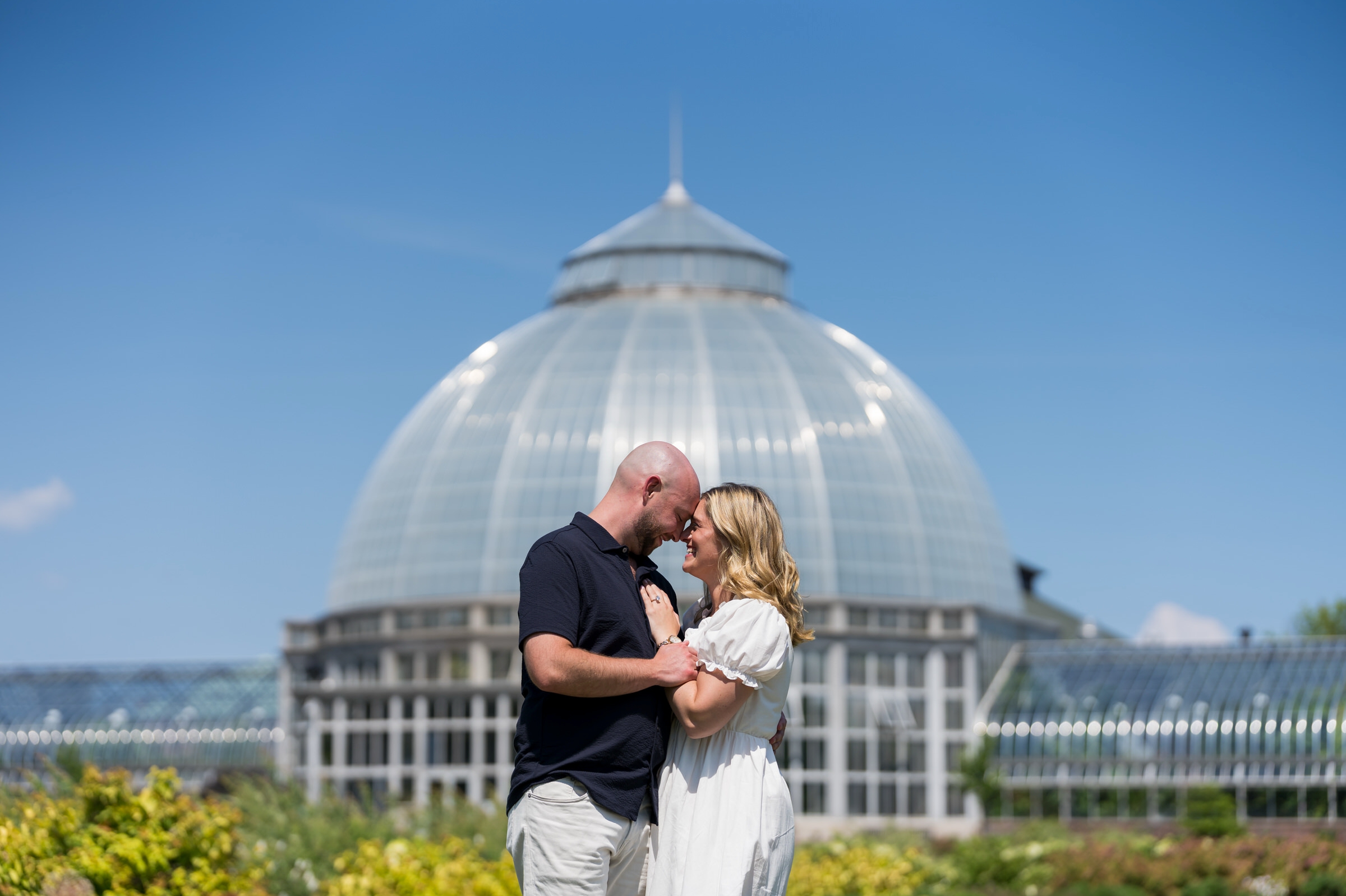 Belle Isle Conservatory Surprise Proposal 