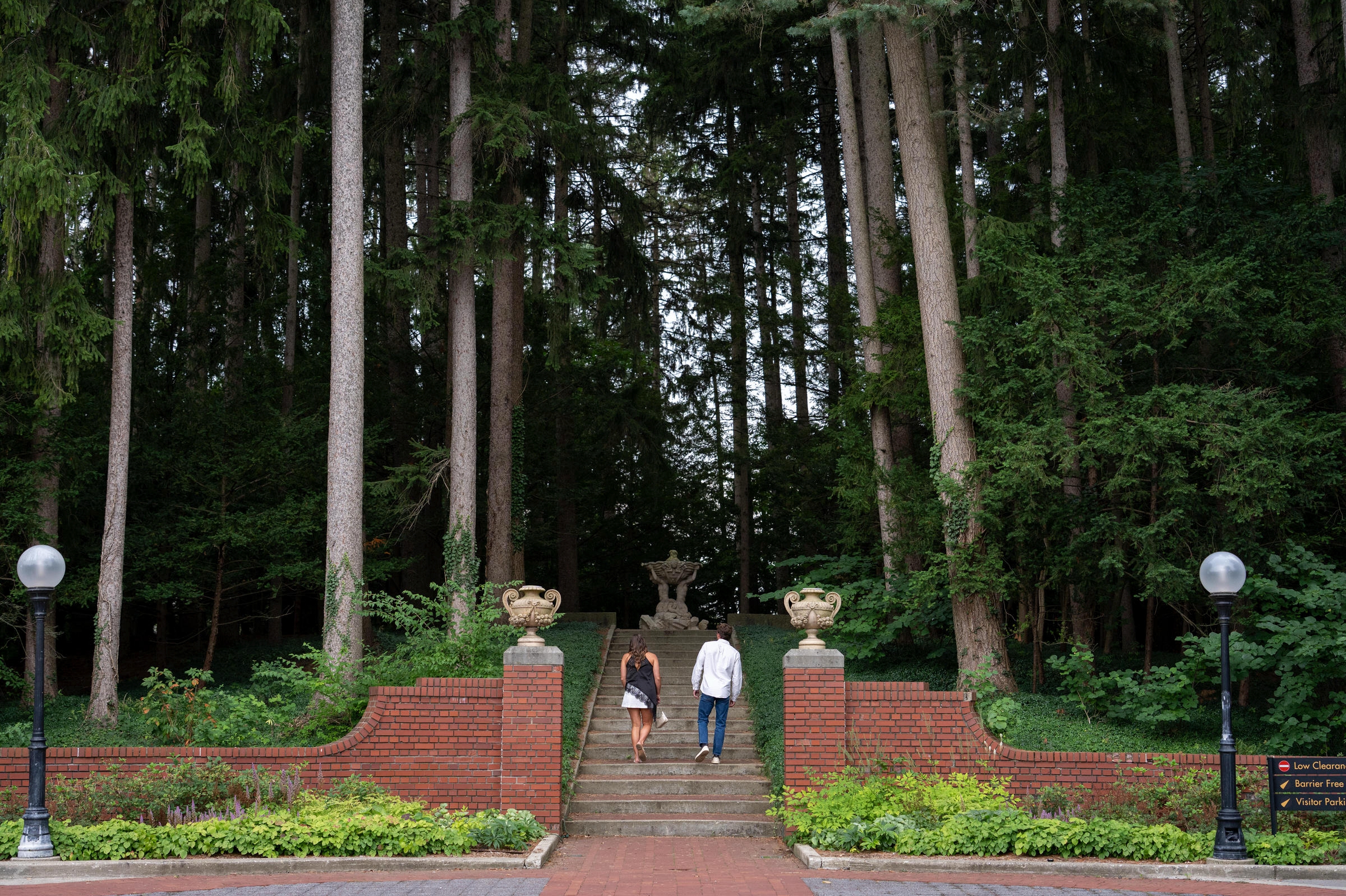  Surprise Proposal at Cranbrook