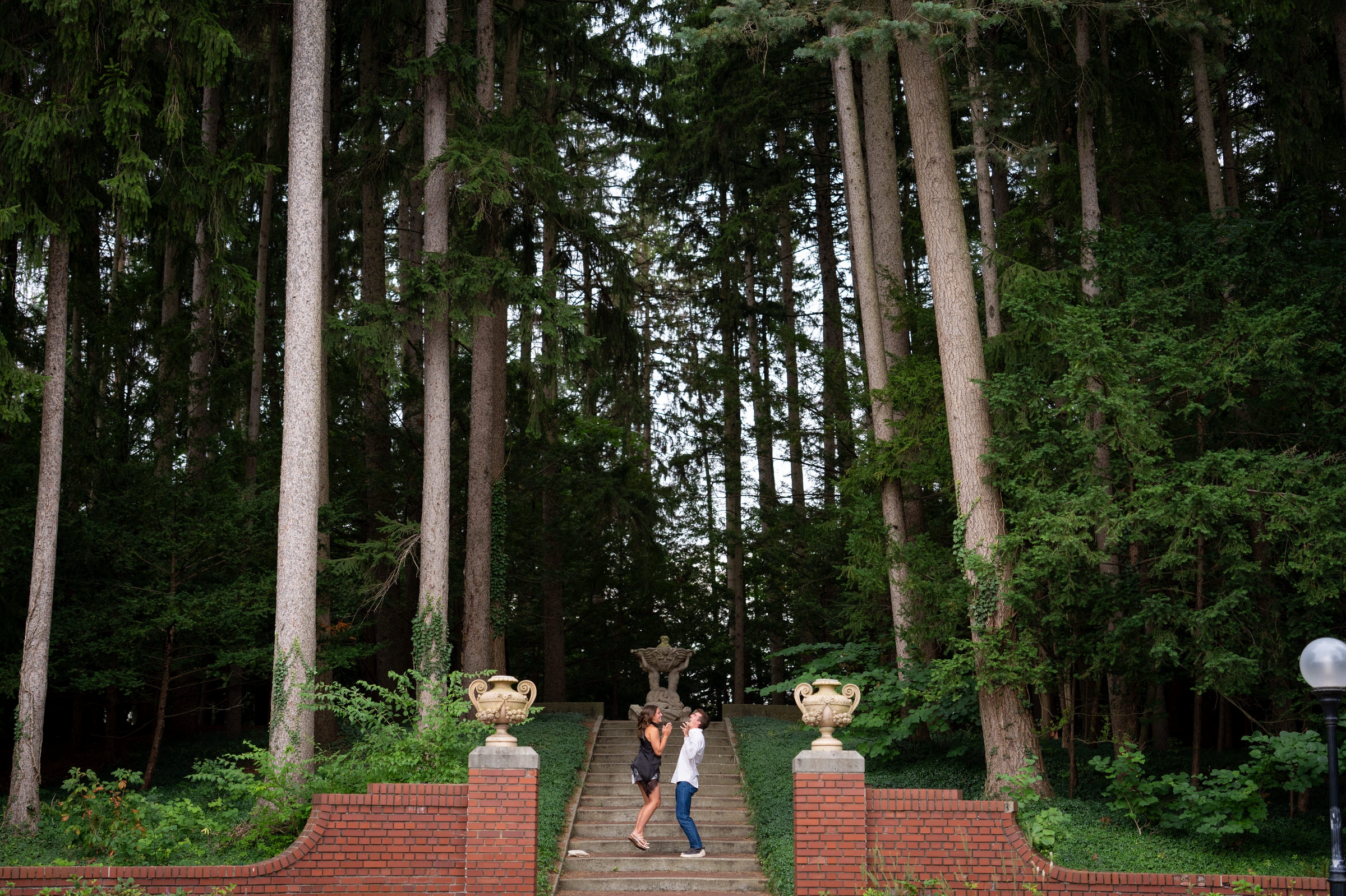  Surprise Proposal at Cranbrook