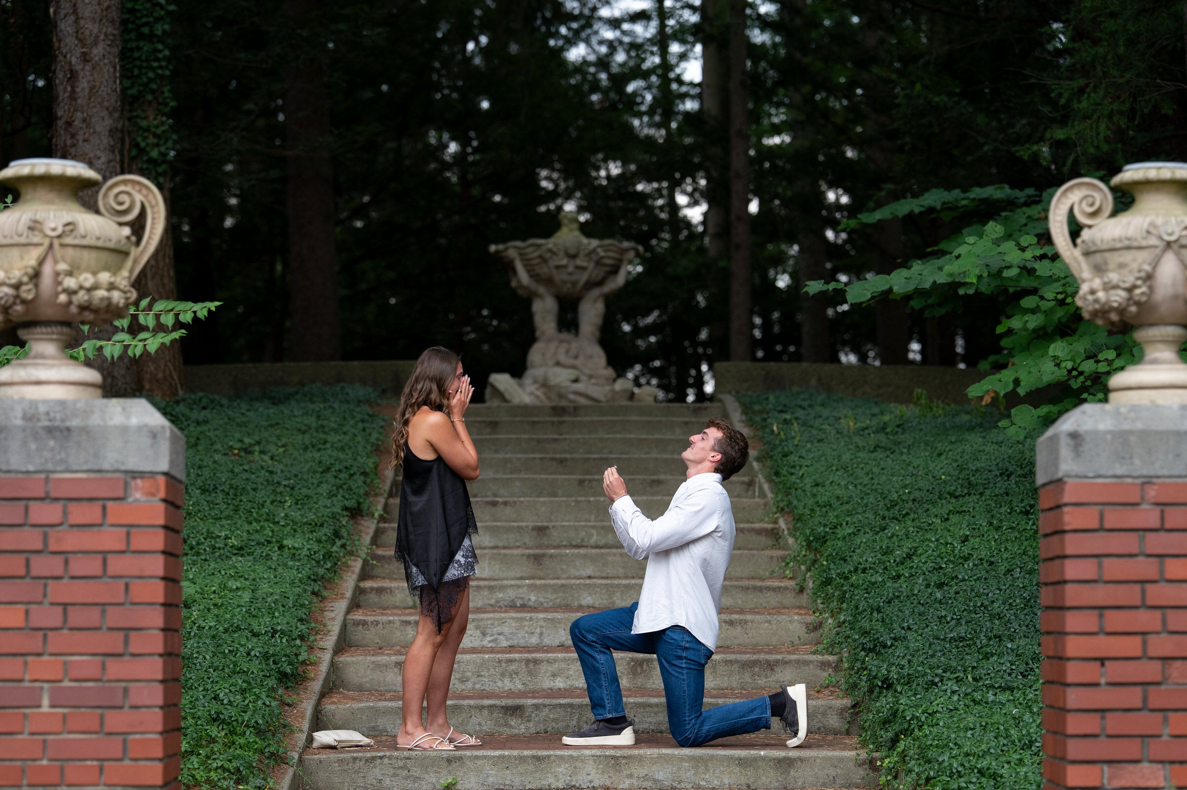  Surprise Proposal at Cranbrook